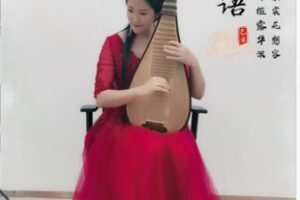 【17[红包]·F2654琵琶进阶课程（29节）】