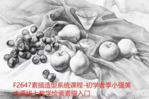 【16[红包]·F2647素描造型系统课程-初学者季小强美术课线上教学绘画素描入门】