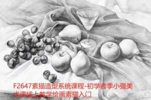 【16[红包]·F2647素描造型系统课程-初学者季小强美术课线上教学绘画素描入门】