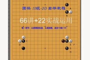 【22[红包]·F2540围棋初级教程 10级-2段 六十六讲 + 22实战运用】