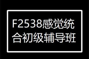 【27[红包]·F2538感觉统合初级辅导班】
