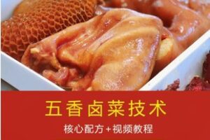 【49[红包]·F2899华飞重庆小面技术 视频资料含配方 拍立学】