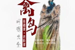 【12[红包]·F2990秦少甫禽鸟系列精品课】