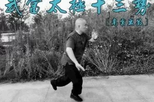 【28[红包]·F2765《武当太极十三势》| 高云出品】