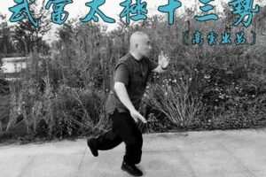 【28[红包]·F2765《武当太极十三势》| 高云出品】