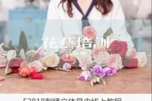 【19[红包]·F2818刺绣立体昆虫线上教程】