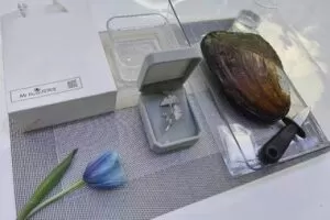 【29[红包]·F2816DIY珍珠开蚌花艺课】