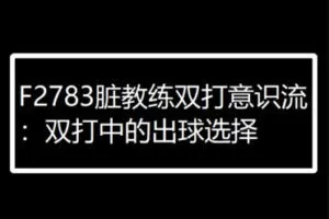 【25[红包]·F2783脏教练双打意识流 ：双打中的出球选择】