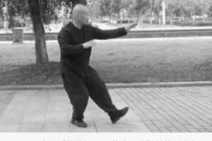 【29[红包]·F2763高云《传统杨氏85势太极拳》单势重点版】