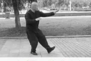 【29[红包]·F2763高云《传统杨氏85势太极拳》单势重点版】