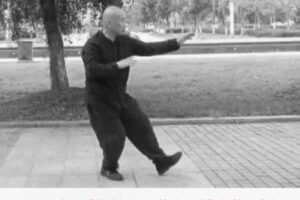 【29[红包]·F2763高云《传统杨氏85势太极拳》单势重点版】