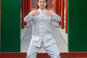 【20[红包]·F2762太极拳必修—太极内功】