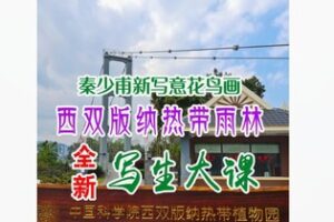 【12[红包]·F2992秦少甫西双版纳写生大课】