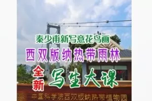 【12[红包]·F2992秦少甫西双版纳写生大课】