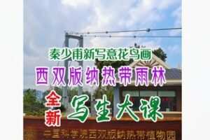 【12[红包]·F2992秦少甫西双版纳写生大课】