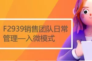 【12[红包]·F2939销售团队日常管理—入微模式】