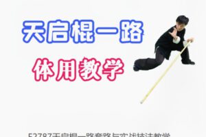 【12[红包]·F2787天启棍一路套路与实战技法教学】