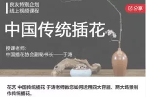 【12[红包]·F3153花艺 中国传统插花 于涛老师教您如何运用四大容器、两大场景制作传统插花】