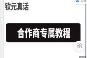【捐赠[红包]49.90·《C1346-钦元文化-合作商教程》】