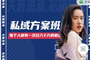 【捐赠[红包]129.90·《C1331-大蓉出品- IP成就计划》】