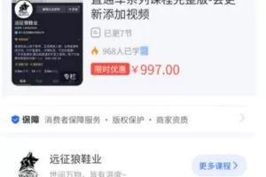【捐赠[红包]99.70·《AL5419-远征狼鞋业直通车系列课程完整版》】