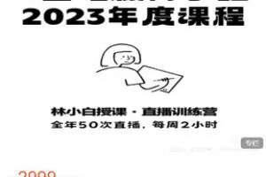 【捐赠[红包]69.99·《AL5338-林小白《0基础极简手绘2023年度课程》》】