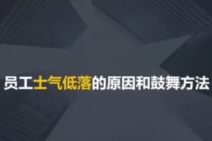捐赠29.9[红包]·D0744-2023《业务经理人力资源的7个角色》