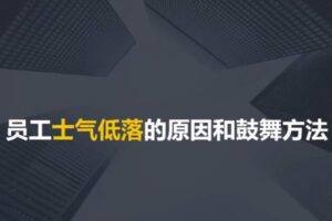 捐赠29.9[红包]·D0744-2023《业务经理人力资源的7个角色》