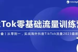 捐赠29.9[红包]·D0750-2023《TK零基础变现训练营【第20期】》