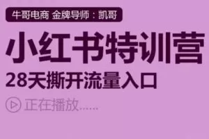 捐赠29.9[红包]·D0771-2023《小红书运营系列课-小红书特训营，28天撕开流量入口》