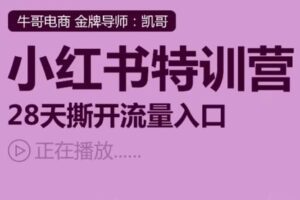 捐赠29.9[红包]·D0771-2023《小红书运营系列课-小红书特训营，28天撕开流量入口》