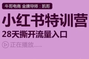 【捐赠[红包]29.90·《D0771-小红书运营系列课-小红书特训营，28天撕开流量入口》】