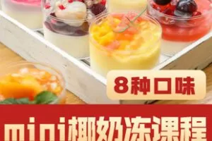【捐赠[红包]9.90·《AL5364-8种口味mini椰奶冻视频教程_威利旺卡烘焙培训》】