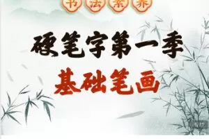 【捐赠[红包]49.99·《AL5644-平说书法素养|硬笔字第一季：基础笔画（正课）》】