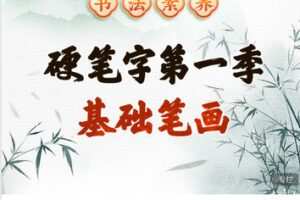【捐赠[红包]49.99·《AL5644-平说书法素养|硬笔字第一季：基础笔画（正课）》】
