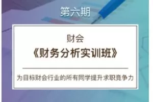 【捐赠[红包]39.90·《C0160【CareerBuddy】财会-财务分析实训班》】