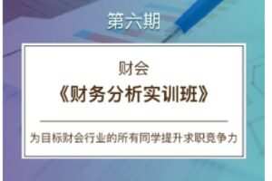 【捐赠[红包]39.90·《C0160【CareerBuddy】财会-财务分析实训班》】