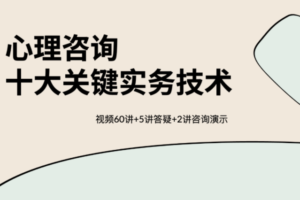 【保姆级教程】心理咨询十大关键实务技术  视频60讲