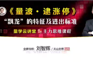 量学云讲堂刘智辉《量学识庄·伏击涨停》39期 量波段位课6段