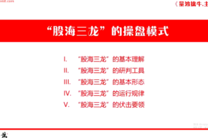 量学云讲堂刘智辉《量学识庄·伏击涨停》40期 量波段位课七段