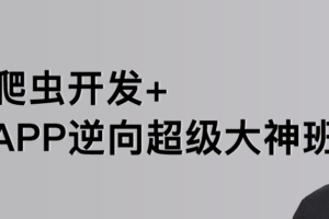 陆飞-爬虫开发APP逆向超级大神班1-8班-价值4999-2023年-课件完整