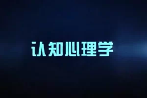 认知心理学（视频 14课）