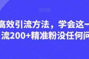 B站高效引流方法，学会这一招，日引流200+精准粉没任何问题【揭秘】
