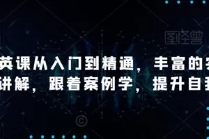 AI精英课从入门到精通，丰富的实战案例讲解，跟着案例学，提升自我！