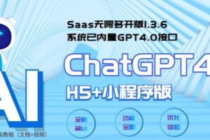 全网首发Saas无限多开版ChatGPT小程序+H5，系统已内置GPT4.0接口，可无限开通坑位