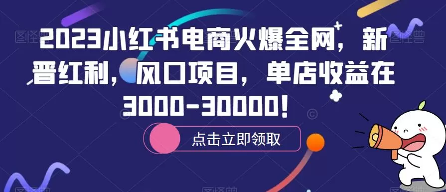 2023小红书电商火爆全网,新晋红利,风口项目,单店收益在3000-30000!