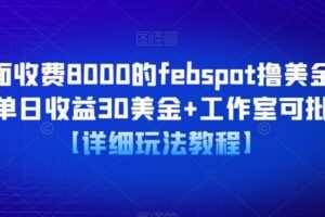 外面收费8000的febspot撸美金项目，单日收益30美金+工作室可批量搞【详细玩法教程】