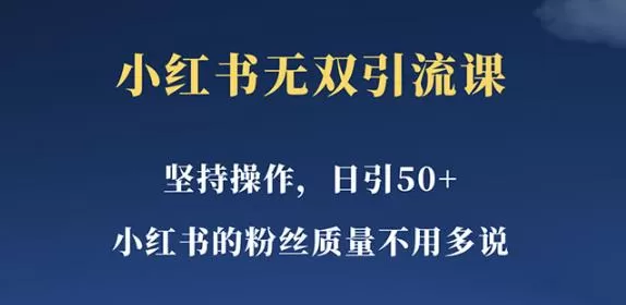 小红书无双课一天引50+女粉,不用做视频发视频,小白也很容易上手拿到结果【仅揭秘】
