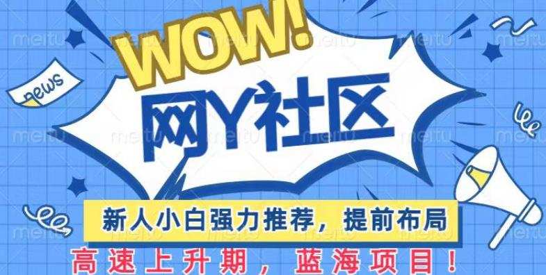 有道词典WOW社区项目,新人小白强力推荐,提前布局,高速上升期,蓝海项目【揭秘】