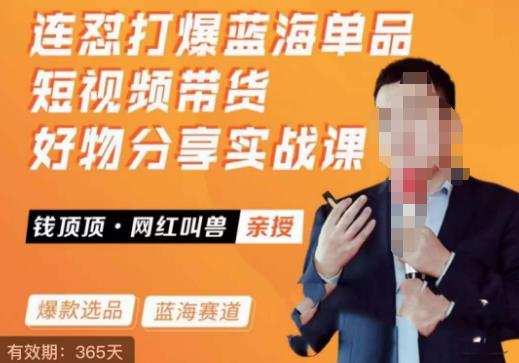 网红叫兽·连怼打爆蓝海单品,短视频带货好物分享实战课
